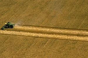 Arable Gallery: Aerial - Wheat being harvested - combine harvester at work