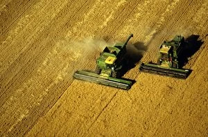 Arable Gallery: Aerial - Wheat being harvested two combine harvesters