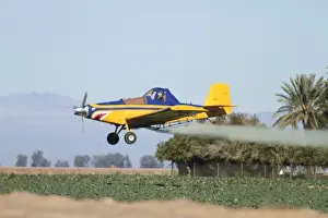 Aeroplane Prints: Aeroplane - crop duster spraying agricultural fields in southern California in January - USA