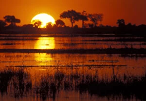 Africa, Botswana, Chobe National Park, Setting