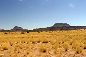 Africa Damaraland. near Khorixas, Namibia
