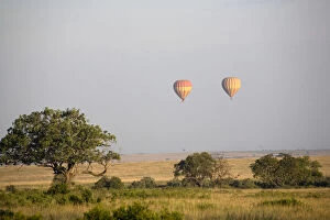 Africa, Kenya, Masai Mara. Two hot air balloons