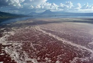 Tanzania Prints: Africa Lake Natron, Tanzania, Africa