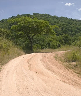 Africa; Malawi; Cape Maclear; Dirt road