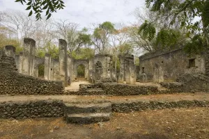 Deserted Prints: Africa - Ruins of Great Mosque Gedi in the Arabuko-Sokoke forest near Malindi, Kenya