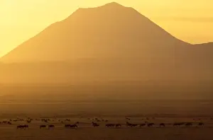 Tranquillity Prints: Africa - sunrise over Ol Doinyo Lengai Volcano sacred to Maasai