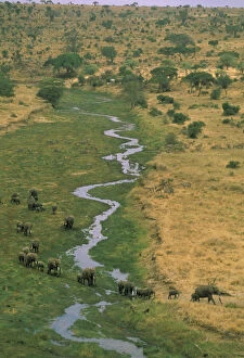 Africa, Tanzania. Aerial view of african