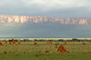 Images Dated 5th January 2004: Africa Waterberg plateau, National Park, Namibia