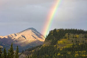 Images Dated 13th August 2010: Afternoon Rainbow, Denali National Park