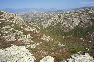 Corsica Prints: Agriates Desert - Corsica