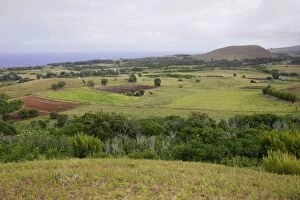 Agricultural land and coast from Puna Pau.east
