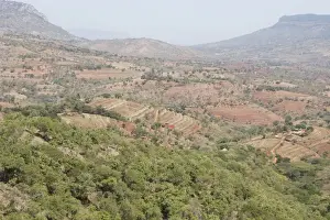 Agricultural terracing on slopes to reduce erosion - Mbooni Hills Machakos District - Kenya