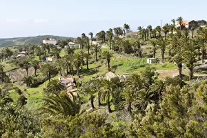 Alajero - a hill town of reasonable size with palm trees - Island of La Gomera - Canary Islands
