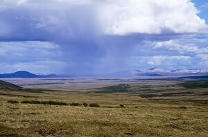 Images Dated 29th August 2006: Alaska - approaching thunderstorms across the tundra. Seward Peninsula