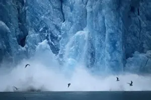 Ice Shelf Prints: Alaska Glaciers calving, Kenai Fjords National Park, Seward, Alaska, USA