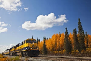 Images Dated 13th August 2010: Alaska Train along George Parks Highway