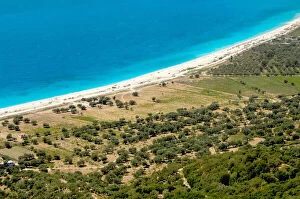 Albania, Olive grove next to Borsh beach