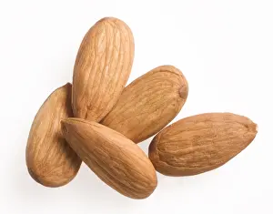 Almonds - 5 in studio shot