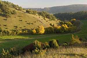 Images Dated 20th October 2006: The Altmuhltal Naturpark, Germany