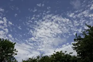 Altocumulus Prints: Altocumulus clouds in blue sky, Cotswolds UK