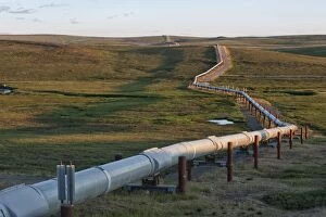 Images Dated 8th July 2011: The Alyeska Pipeline carrying oil from Prudhoe Bay