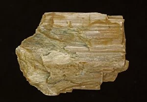 Images Dated 1st July 2012: Amphibole Anthophyllite variety ((Mg, Fe)7Si8O22(OH)2)