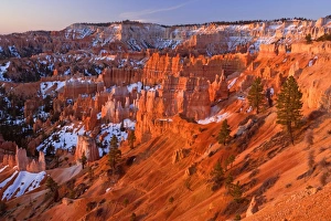 Amphitheatre - view from sunrise point over the amphitheatre of hoodoos Amphitheatre - view from sunrise point over the amphitheatre of hoodoos