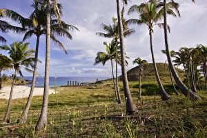 Images Dated 5th November 2004: Anakena beach with Moais on Ahu (ceremonial mound)