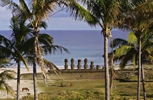 Images Dated 5th November 2004: Anakena beach with Moais on Ahu (ceremonial mound)