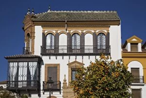 Andalusian Gallery: Andalusian style residence - and Bitter / Seville Oranges