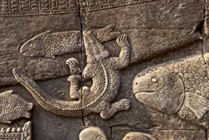 Carvings Prints: Angkor Bayon bas-reliefs Fish and crocodile - Cambodia