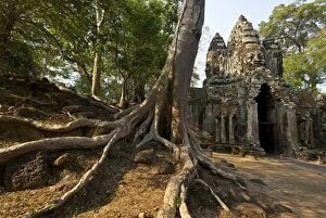 Images Dated 16th March 2008: Angkor gateway tree roots