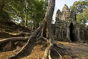 Temples Prints: Angkor gateway tree roots - Cambodia