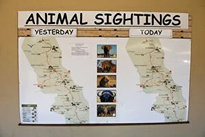 Board Gallery: Animal Sightings board - showing big 5 at restcamp