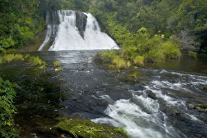Images Dated 12th March 2008: Aniwaniwa Falls - waters of Aniwaniwa river drops in several steps down a deep gorge surrounded by