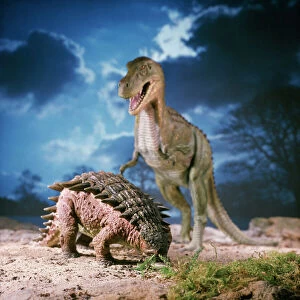 Extinct Collection: Ankylosaurus - with Tyrannosaurus in the background