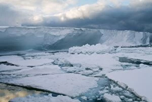 Antarctic - Ice flows breaking off ice shelf