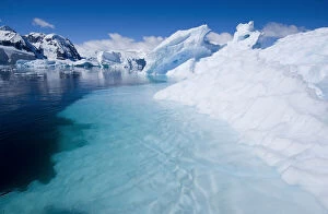 Images Dated 13th September 2011: Antarctic Peninsula, Cuverville Island