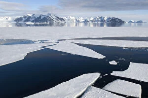 Antarctic Peninsula, Marguerite Bay. Broken