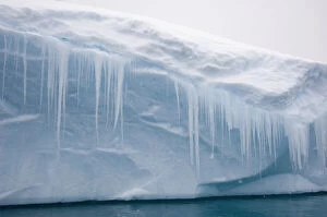 Images Dated 13th September 2011: Antarctic Peninsula, Pleneau Bay. Close-up