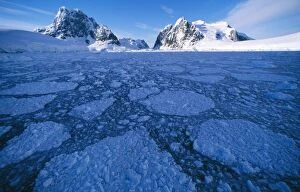 Antarctica - Antarctic peninsula, pack ice