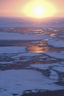 Broken Gallery: Antarctica, Lazarev sea. Brokern pack ice