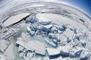 Broken Gallery: Antarctica, Ross Sea. Broken pack ice