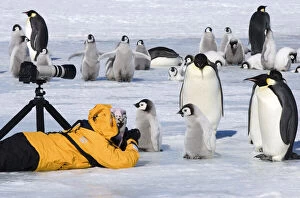 Antarctica, Snow Hill Island. Photographer
