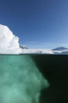 Images Dated 5th February 2014: Antarctica, Underwater view of melting iceberg