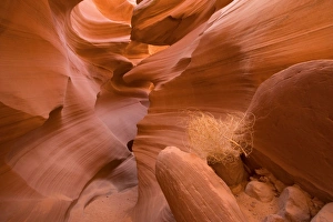 Images Dated 24th April 2009: Antelope Canyon - swirling Navajo sandstone