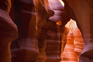 Images Dated 6th April 2009: Antelope Canyon - swirling Navajo sandstone - Antelope Canyon Navajo Tribal Park - Arizona - USA