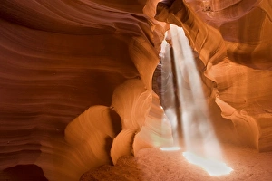 Images Dated 6th April 2009: Antelope Canyon - swirling Navajo sandstone - Antelope Canyon Navajo Tribal Park - Arizona - USA