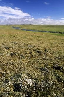 ANZ-1292 Arctic tundra, a typical landscape near Dikson