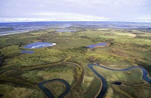 ANZ-1298 Tundra - lakes and rivers - an aerial view from a helicopter